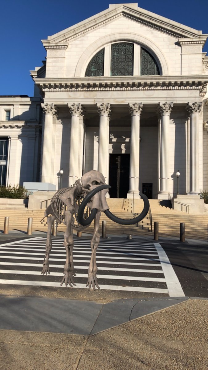 экскурсовод в музее. Trips to museum. экскурсия в музей картинка. экскурсия в музей начальные классы. библиотека финикс в аризоне.