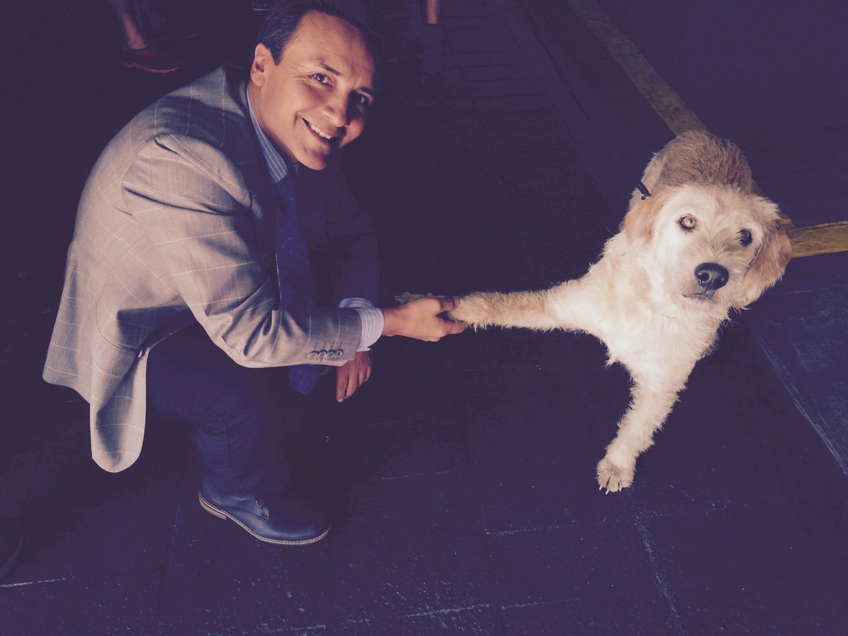 AVAstudillo's tweet photo. “Arthur” 💔 https://t.co/J1elSOpe1s