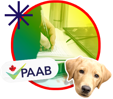 IDS_Can Healthcare (@ids_can_health) on Twitter photo IDS Canada is happy to be working with <a href="/ThePAAB/">Pharmaceutical Advertising Advisory Board</a> to promote their new Pharma Marketing Training Series! If you're interested, check it out!
From corporate booths to linking branded and unbranded product information, this is a must attend session.
Visit: paabtraining.com IDS Canada is happy to be working with <a href="/ThePAAB/">Pharmaceutical Advertising Advisory Board</a> to promote their new Pharma Marketing Training Series! If you're interested, check it out!
From corporate booths to linking branded and unbranded product information, this is a must attend session.
Visit: paabtraining.com