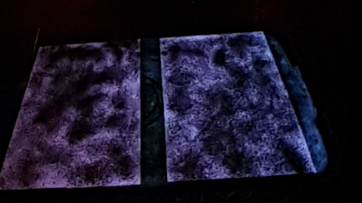 RichardMagill2's tweet image. That one is already taken.

How's about:
#alienfish
#alienselfie
#alienart

I have a dream job that nobody ever dreamed of. I'm the pr guy for aliens. Go team!