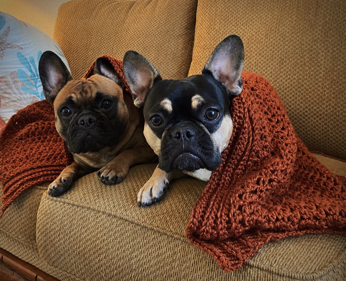 PinotandMerlot's tweet photo. This shawl is very cozy. Mom made it bigs enough for the boths of us! https://t.co/nY0YSRgA0D