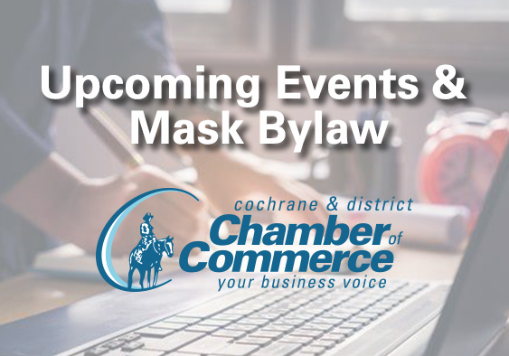 How can we help your business? - mailchi.mp/7ed99472e42e/e…