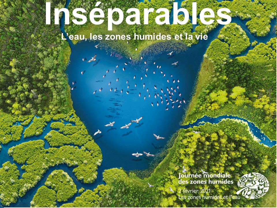 Sage Estuaire Loire Loiresage Twitter