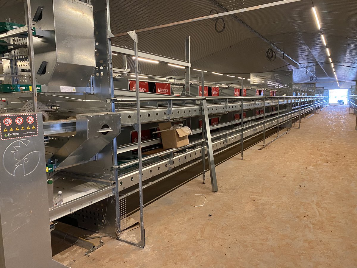 Some more progress on our latest unit with @ddraperLAYERS One of the things we like about the fienhag nest is the space the birds have to move around between the nest boxes which will reduce the threat of bird smothers #highwelfare #proudofpoultry