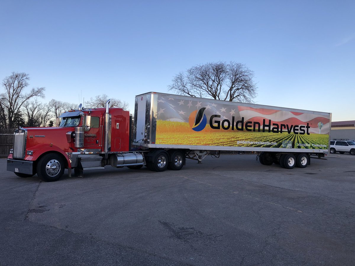 CGI Seed tweet media