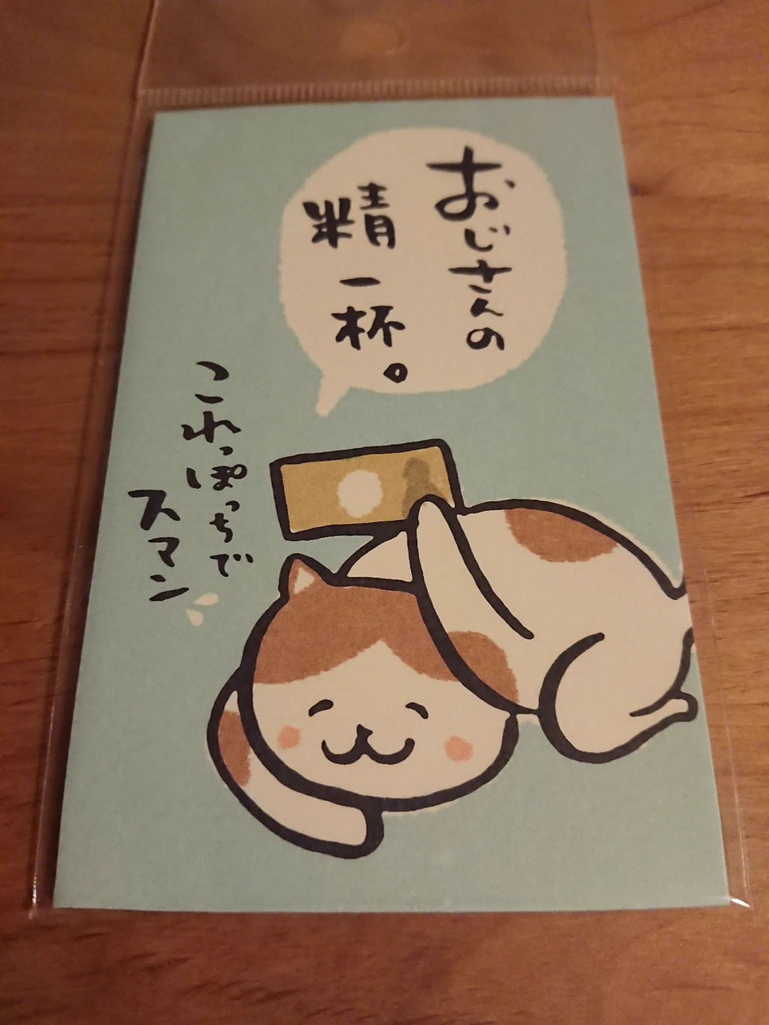 @miyabin1991 DAISOで似たような猫をみつけました😸 