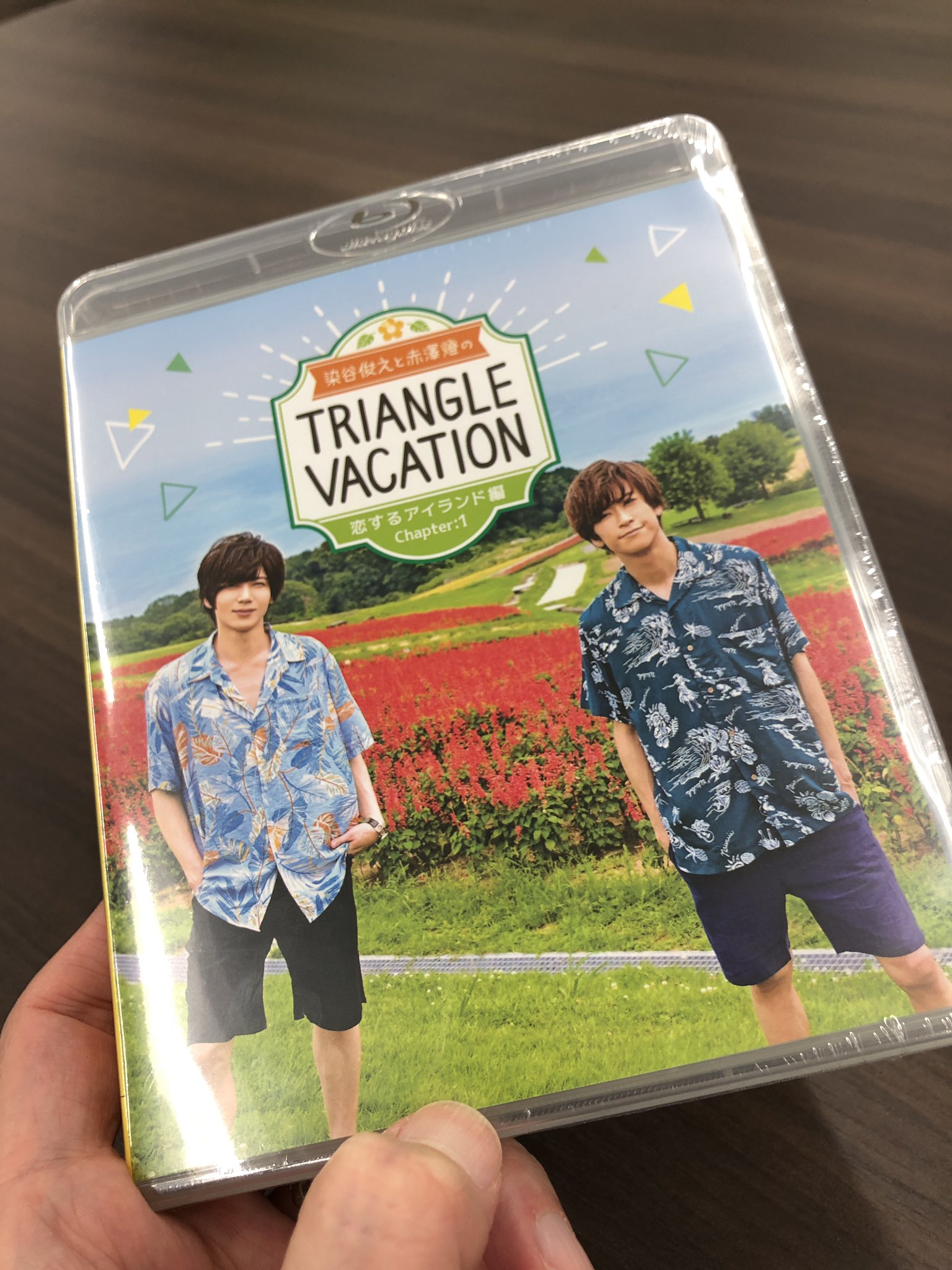 染谷俊之と赤澤燈のTriangle vacation~恋するアイランド編 染谷俊之と赤澤燈のTriangle vacation~恋するアイランド編