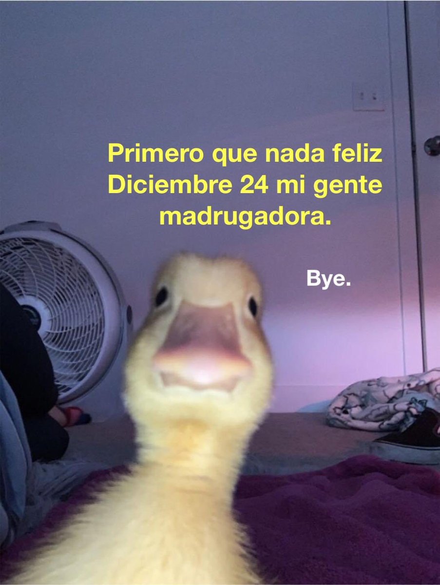 ordure (@ordurebizarree) on Twitter photo 