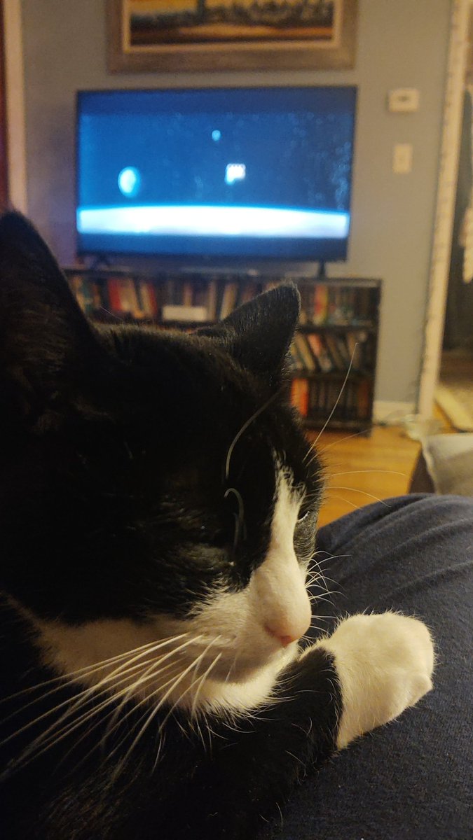 As appropriate for the Christmas season, it's time for Star Wars: A New HopeSomeone is not as excited as I am and is already falling asleep