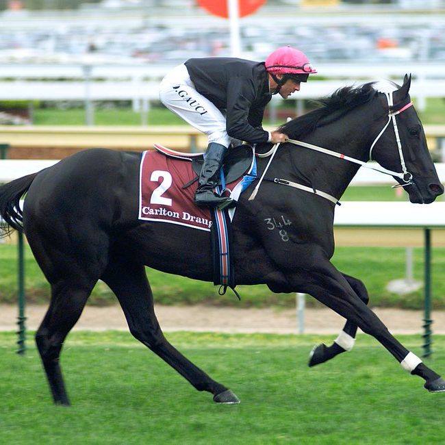 Racing.com tweet media