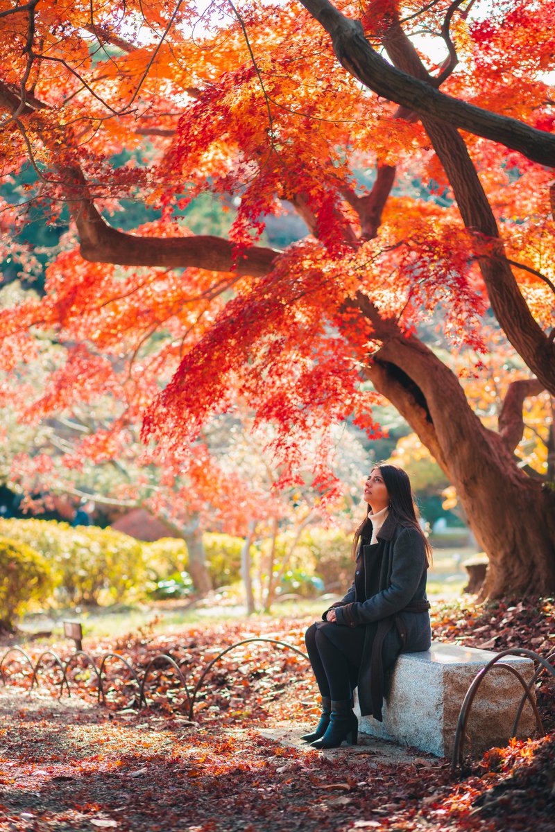 MasaTanahashi's tweet photo. Fall? Winter? Finter.

With @inesarjoun https://t.co/vkLA0yBKE0