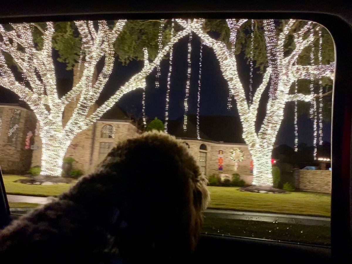 RubyAnnRod's tweet photo. Oris first Christmas lights cruising 🥰 https://t.co/ToirUThwxJ