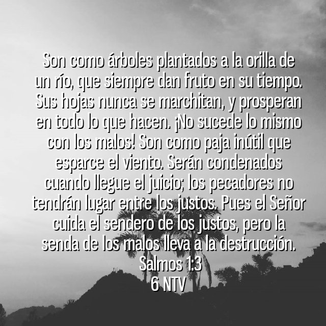 mafiabrego's tweet photo. https://t.co/Rv6kfzuK1x