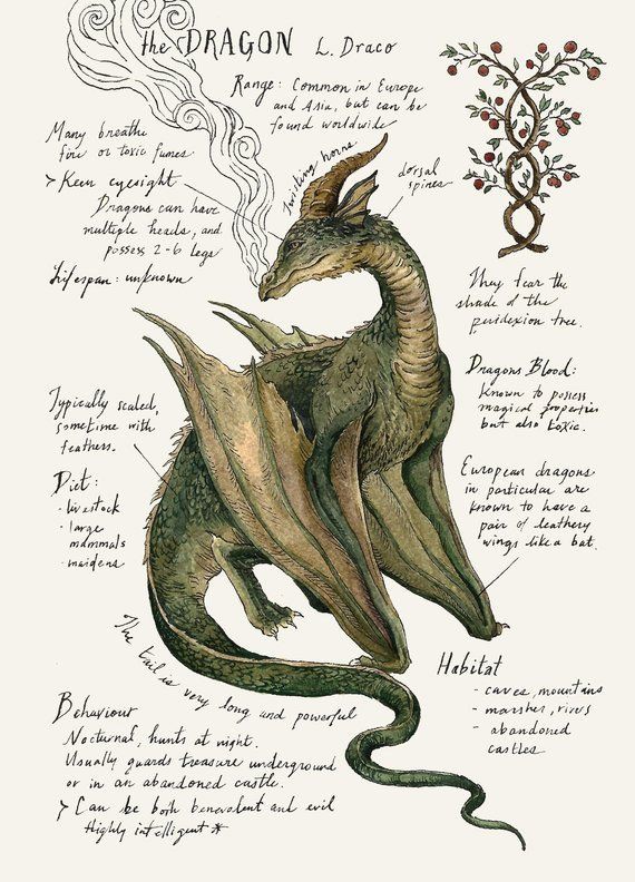 дневник существ