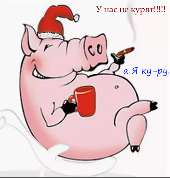 свинья курит. крутая свинья. свинья с сигаретой. поросенок с сигаретой. хрюшка с сигаретой.