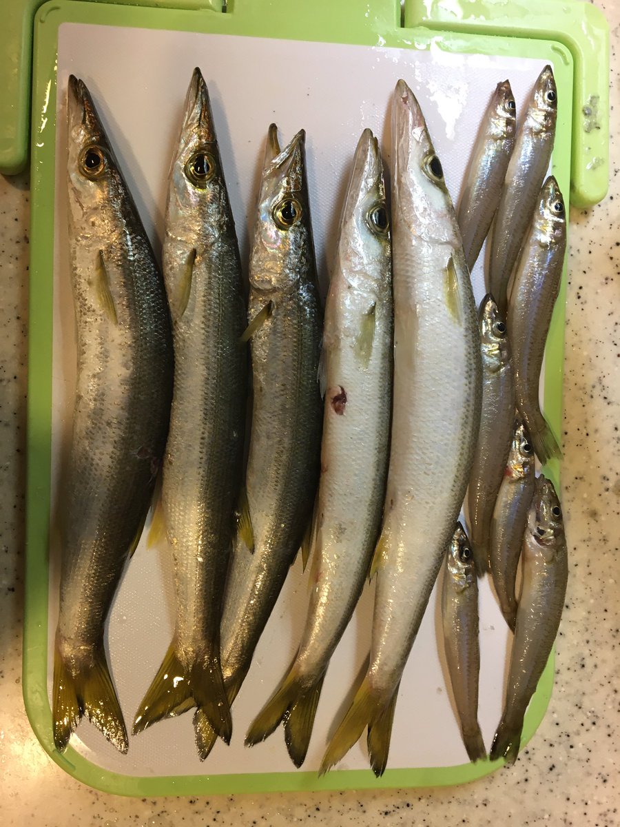 片瀬漁港 片瀬漁港