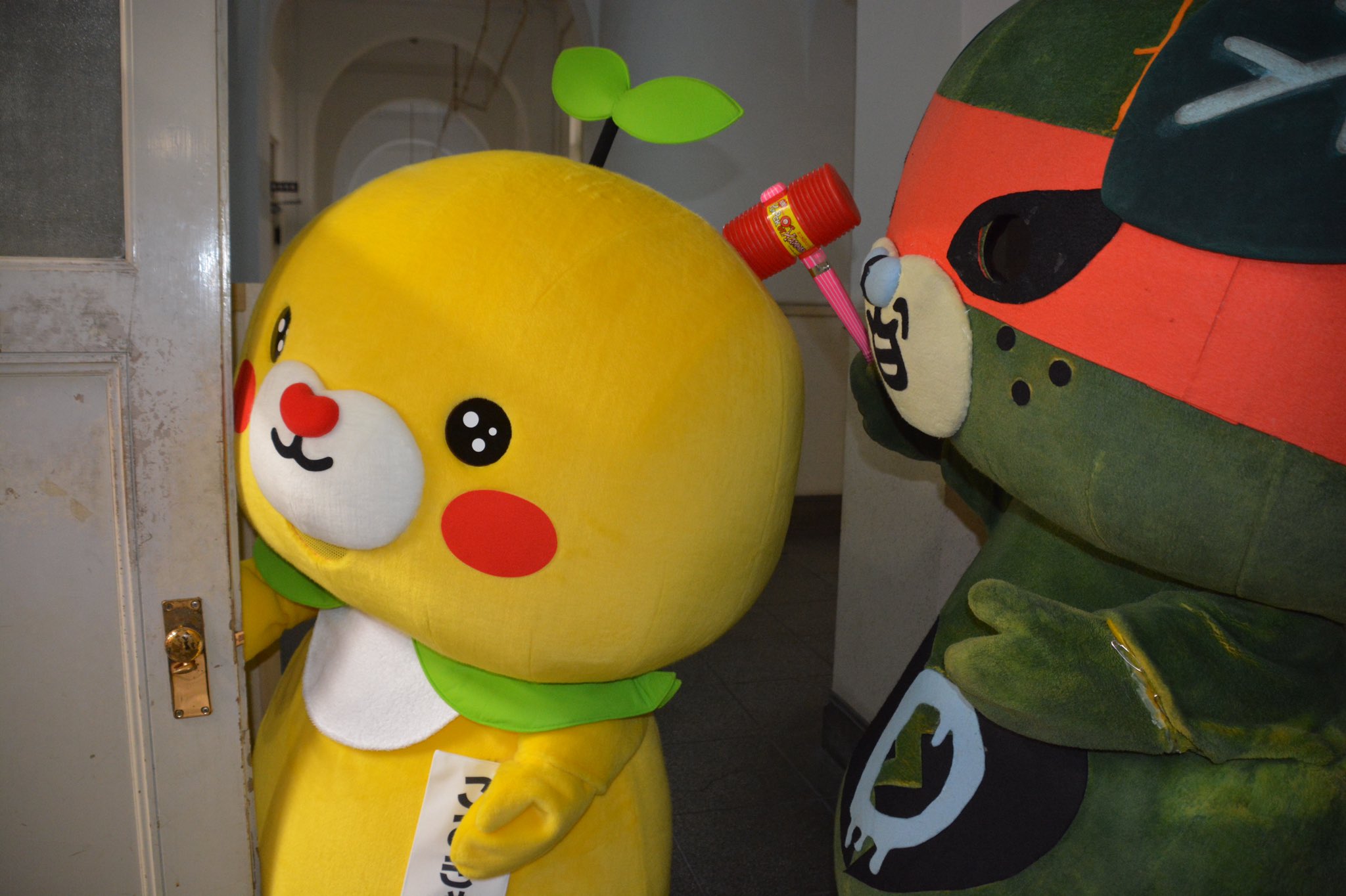 こみきゃん 公式 愛媛県 Uchinokomican Twitter