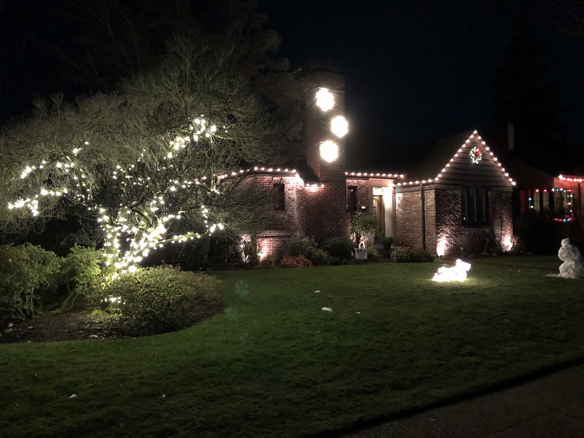 Ok, classy white lights do happen in North Seattle. The snowflakes on the chimney are pretty IRL (sorry for blur). Bonus points for the tree of dog treats!