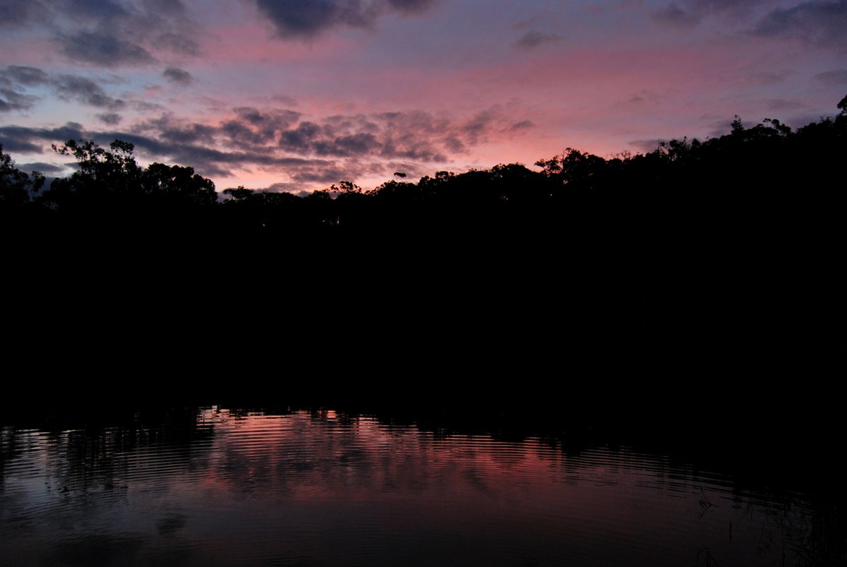 scape366's tweet photo. #scape366.com 359 - #ripples on the #glenelgriver near #mumbannar, #reflecting #pink hues at #dusk. A beautiful spot on one of the many bends in the #river, at the #forestcampnorth #campsite #riverscape https://t.co/sowCtgI0Ii