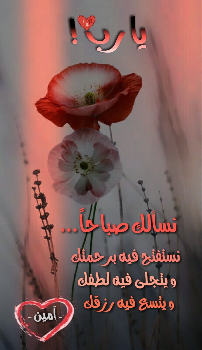 ❤☀#صباح_الخير ☀❤
ويبقى الصباح موعد تواصلنا 
مع الطيبين أمثالكم 🌼🌺..
تحية للقلوب الطاهرة
 التي تبتسم لكل صباح 💜😊..
التي تثق بأن القادم افضل 💚🌺..
صبــــــ🌹ــــاح الخير للارواح الجميلة ..
اللهم  انا نسألك هدوء النـفس ،وطمأنينة القلب، 

🌹