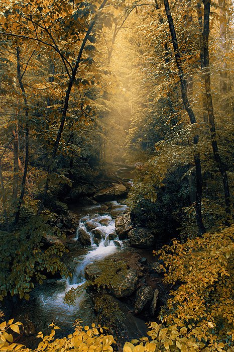 New artwork for sale! - "IMG_0484 Autumn Glory" - fineartamerica.com/featured/img04… @fineartamerica