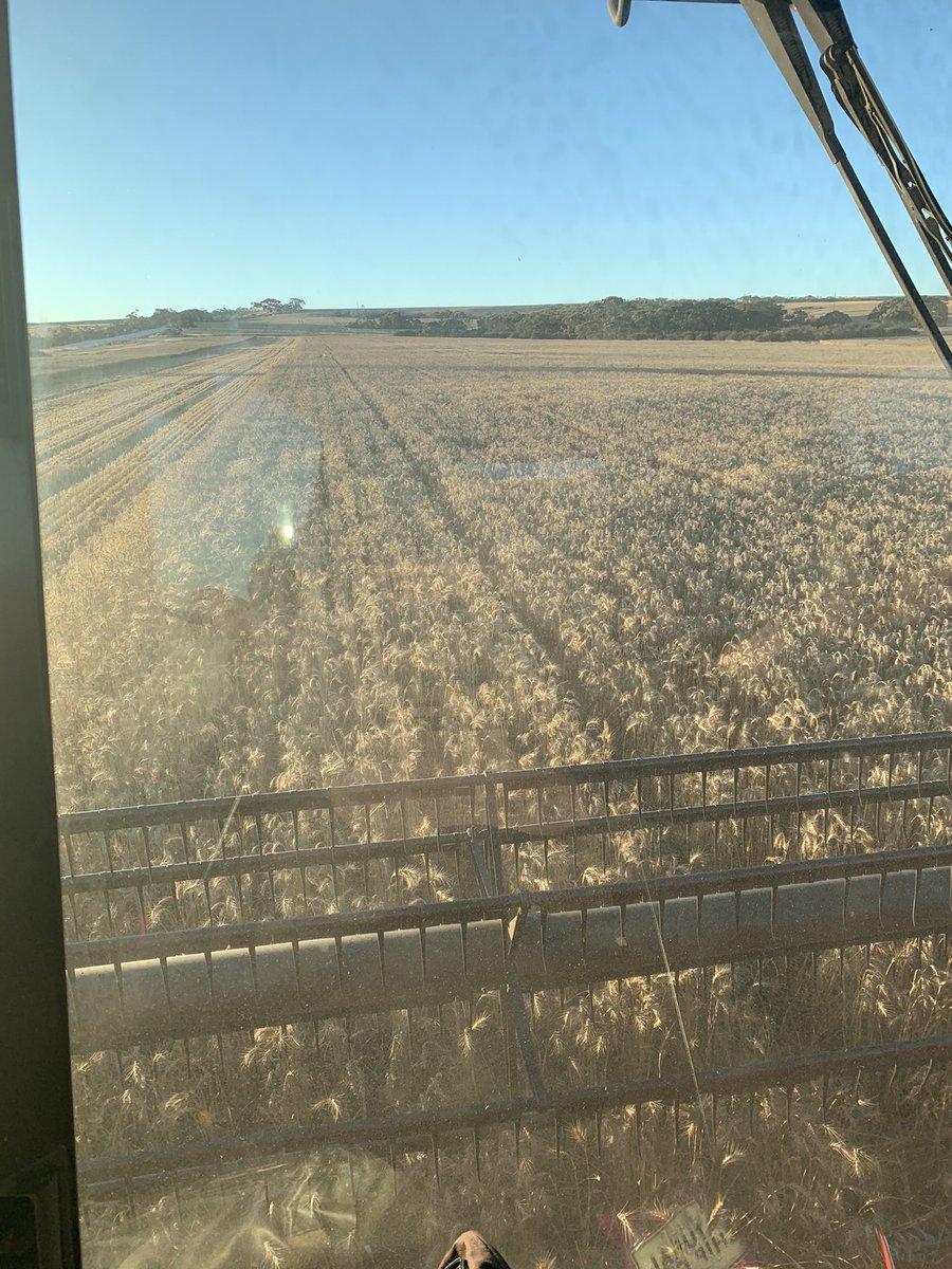 180 days later.. #home