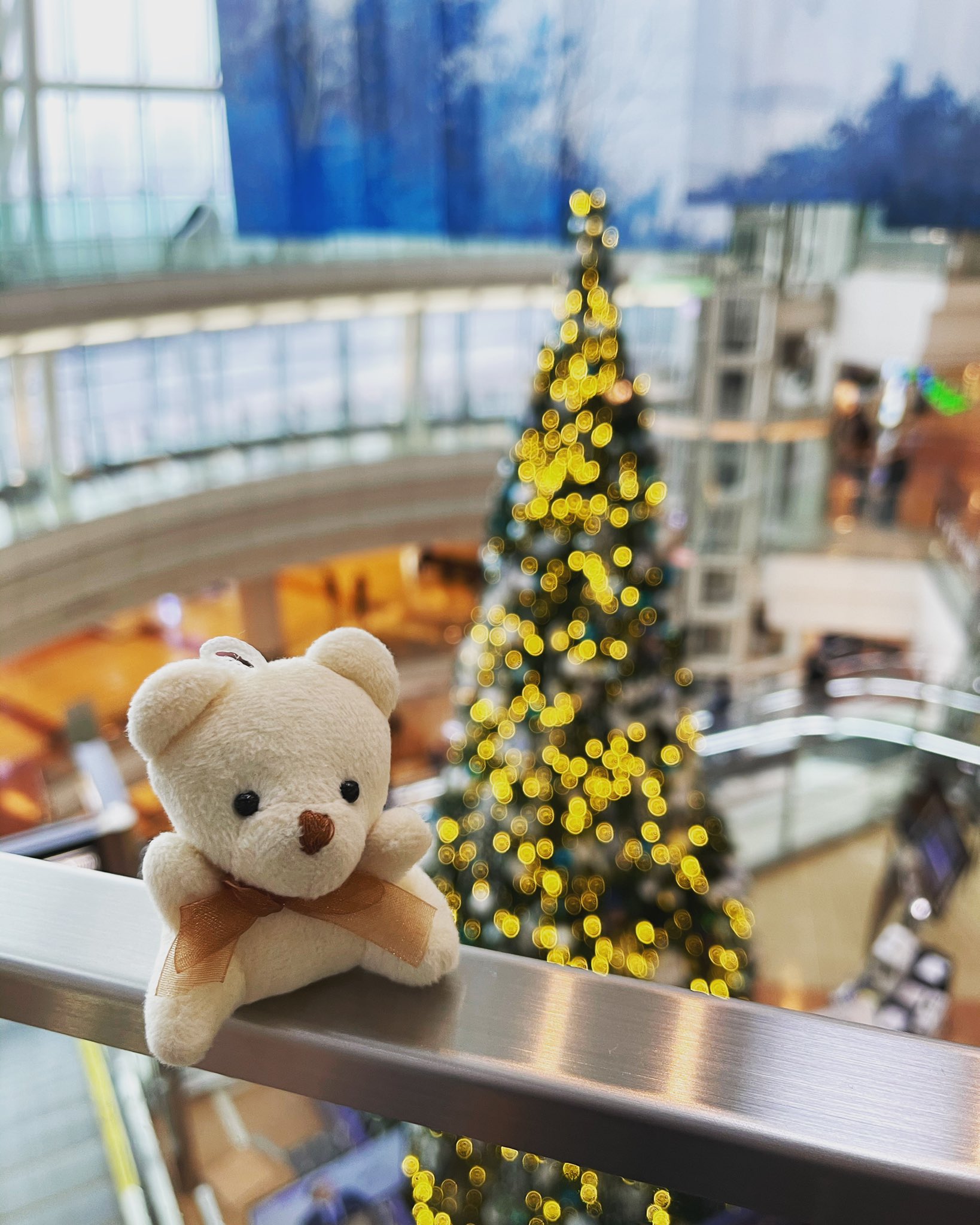 うわ〜❣️くまプーのクリスマスツリー‼️なんて可愛くて愉しいの❣️ うわ〜❣️くまプーのクリスマスツリー‼️なんて可愛くて愉しい