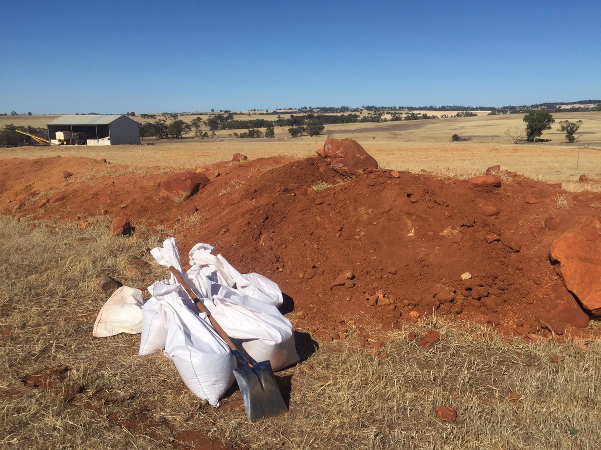 Spent my Christmas Eve digging up soil for my glasshouse study. How’s everyone else spending Christmas Eve? 
#soil #phdlife #christmaseve #ilikedirt #forscience