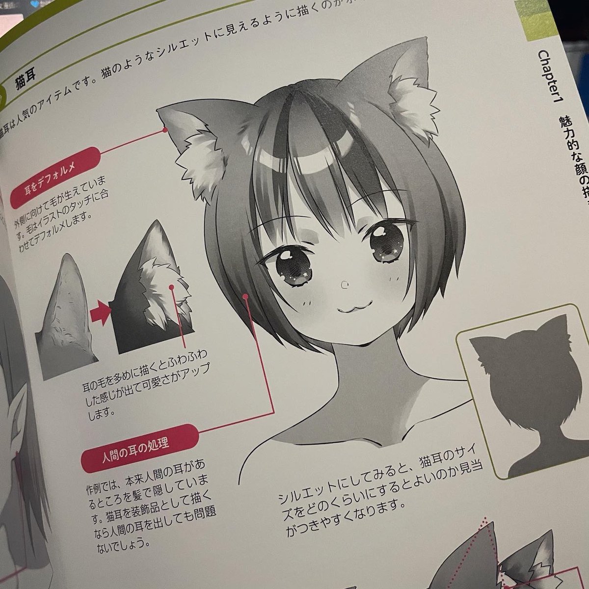 献本頂きました!クリスマスプレゼントだ〜明日発売だそうです 