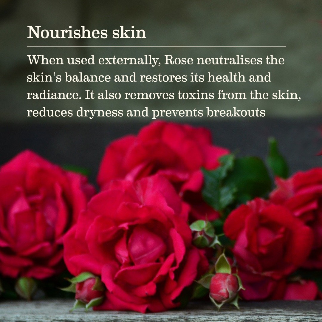 SoulTree_In's tweet photo. For thousands of years, Roses have been an integral part of various Ayurvedic concoctions. With incredible life-balancing properties, they help purify the blooda and keep imbalances in the skin at bay.

#SoulTree #Rootedingoodness #truthinside #AyurvedawithSoulTree https://t.co/XSIZCxHwop