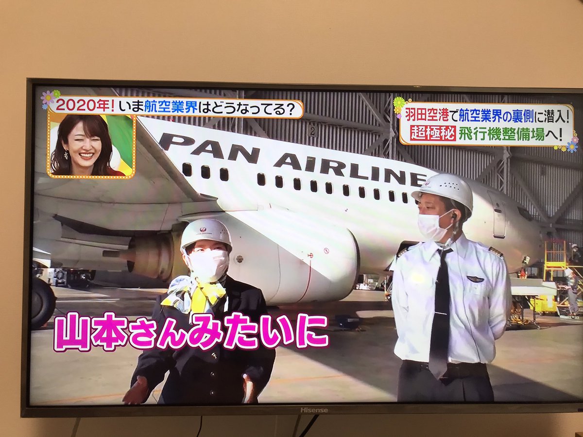 年12月24日 ヒルナンデスで Jal が話題に トレンドアットtv 年12月24日 ヒルナンデスで Jal が話題に トレンドアットtv