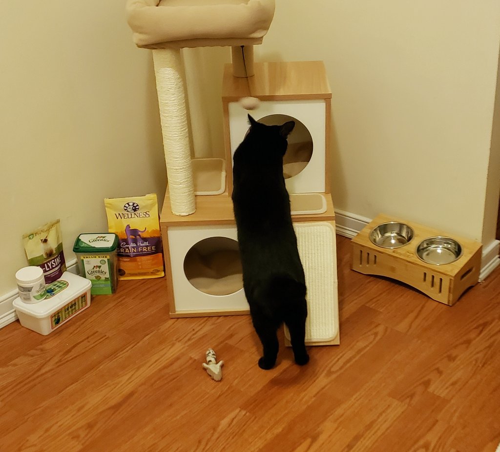 We opened her gift early and I think it's going well.