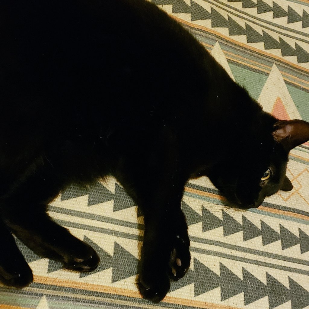 The carpet was not for her but it is now.