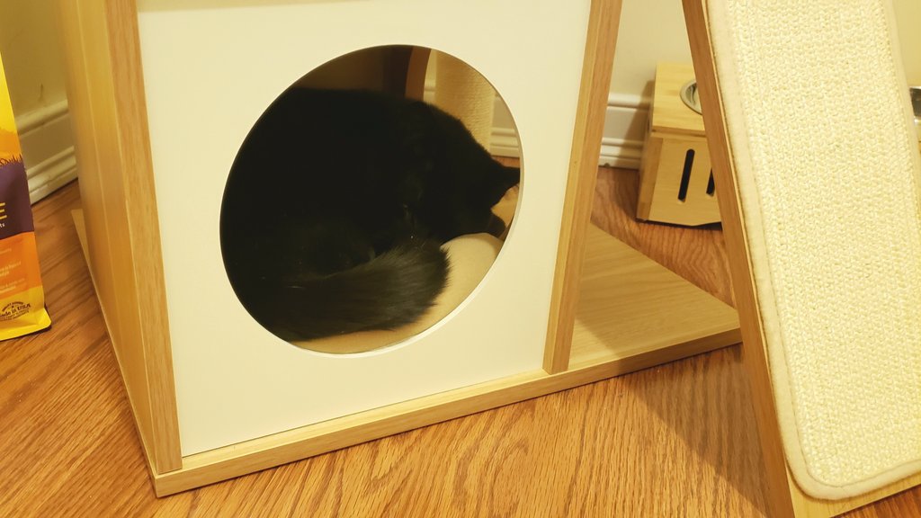 omg she fell asleep in the time it took me to tweet this. an angel.