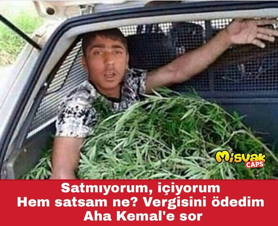 MUSTAFAAIRMAN8's tweet photo. #GönülİsterdiKi böyle bir devlet yöneticimiz olsun o zaman okul alın teri vs ile zaman kaybetmezdik:)) https://t.co/l8YrIG9r6H