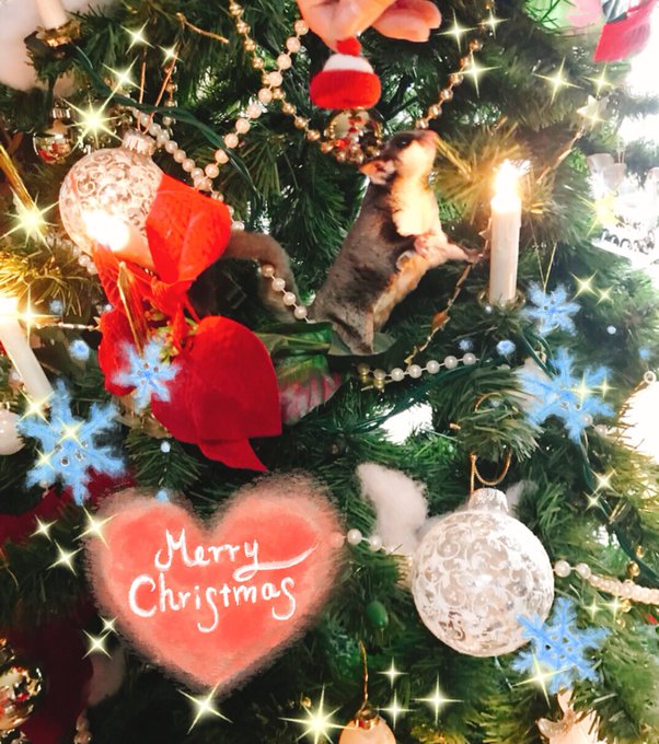 ニコニコ監視員さん のツイート ニコ生 の検索結果 Whotwi グラフィカルtwitter分析