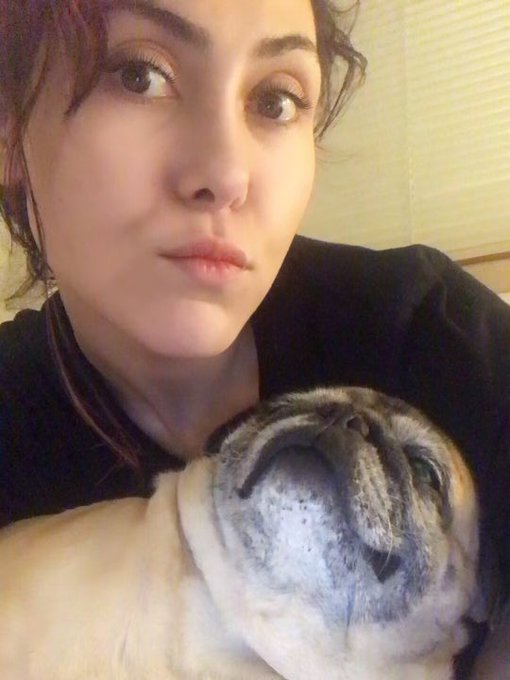 My hair is oily, and this is not Glamorous at all - However, I decided to show my now acne free face<a href="/tag/alive"class="tags"><span>#alive</span></a><a href="/tag/puglife"class="tags"><span>#puglife</span></a><a href="/tag/pugs"class="tags"><span>#pugs</span></a><a href="/tag/survivor2020"class="tags"><span>#survivor2020</span></a>