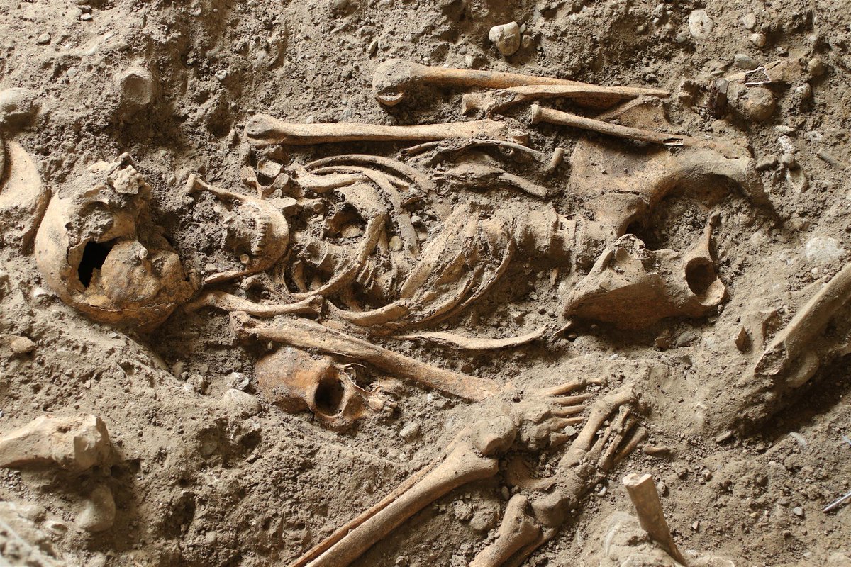 Elder bone. Средневековый могильник. Массовые захоронения средневековье.