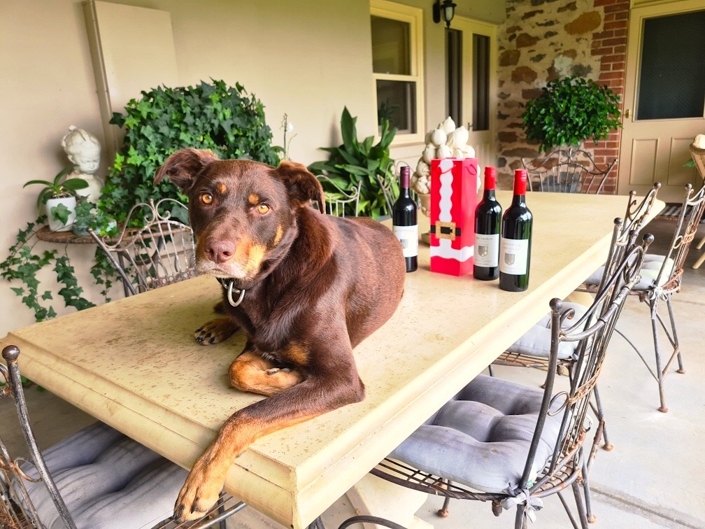 Wishing everyone a very merry and safe Christmas from Gus. 
And all at Bendbrook.