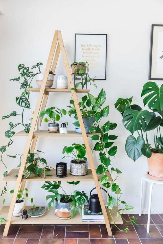 Triangular plant shelf ideas. Which is your fave design? 1, 2, 3,or 4?