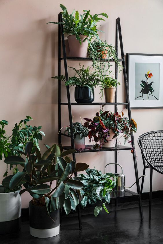 Triangular plant shelf ideas. Which is your fave design? 1, 2, 3,or 4?