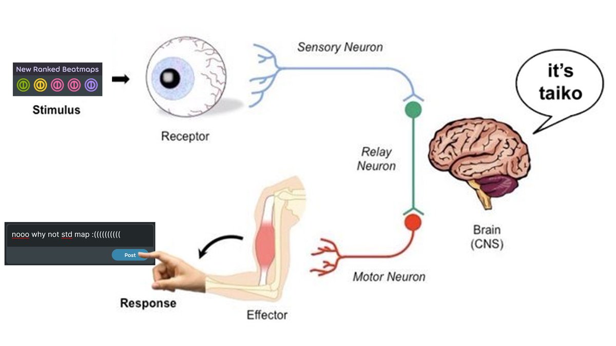 Jerry (@nzmjerry) on Twitter photo 