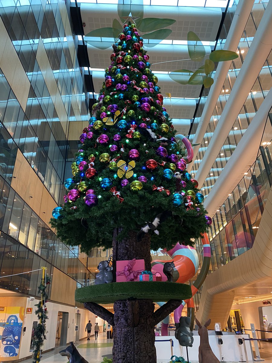 Aylin Seven tweet media