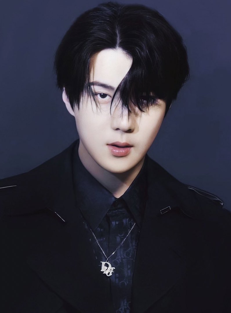 senshine on Twitter: "THE MOST HANDSOME 🤝 DIOR AMBASSADOR reply/rt for  sehun!!! I vote for #Sehun from EXO for #100MostHandsome2020 SEHUN DIOR  AMBASSADOR #DiorAmbassadorSehun #세훈 #SEHUN #엑소세훈… https://t.co/My3FNovqMD"