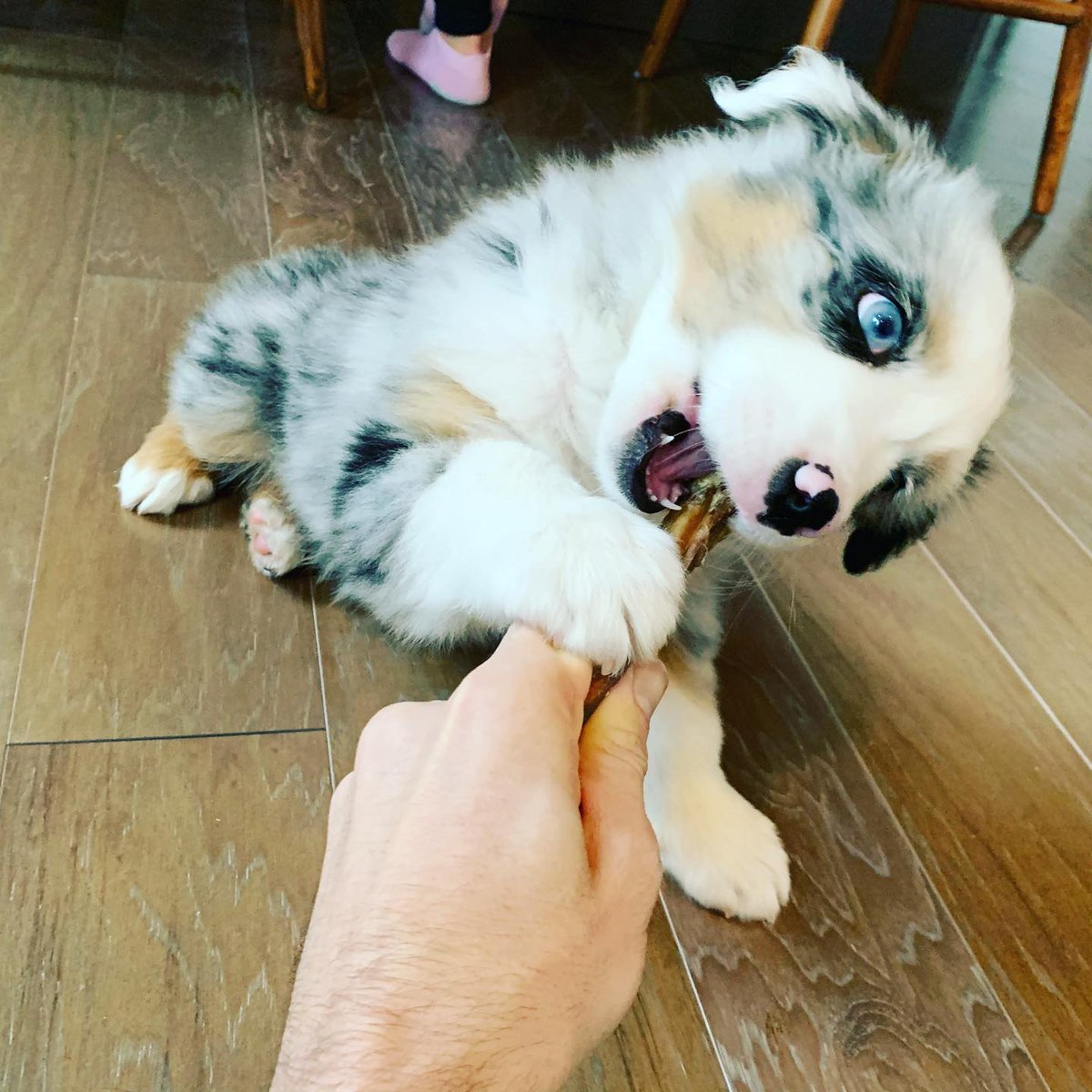 Zachary Lipton tweet media