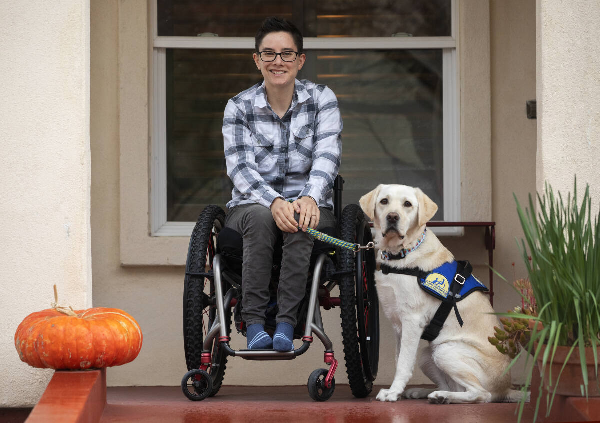 servicedogsnews's tweet image. Airplane rule change will benefit service dog users, Canine Companions for Independence says - Petaluma Argus Courier dlvr.it/Rp74RV