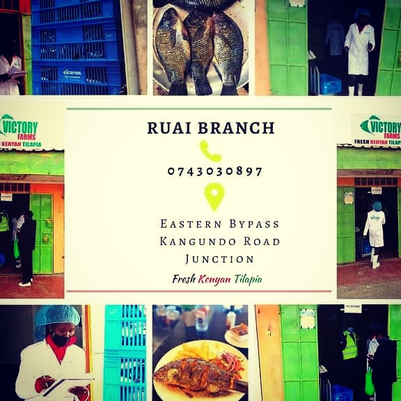 VictoryFarmsLtd's tweet photo. 🎄Happy Holidays! It's finally the week before Xmas! 🍾 Spoil yourself with some fine #FreshKenyanTilapia @ a branch near u.
Fry it, bake it, broil it, grill it! So long as u get to eat it😋
And why not! T'is the season to be jolly!
#WeSpeakFish #fishmass #tuesday
#eatlocal https://t.co/GCXZ6d0YZw