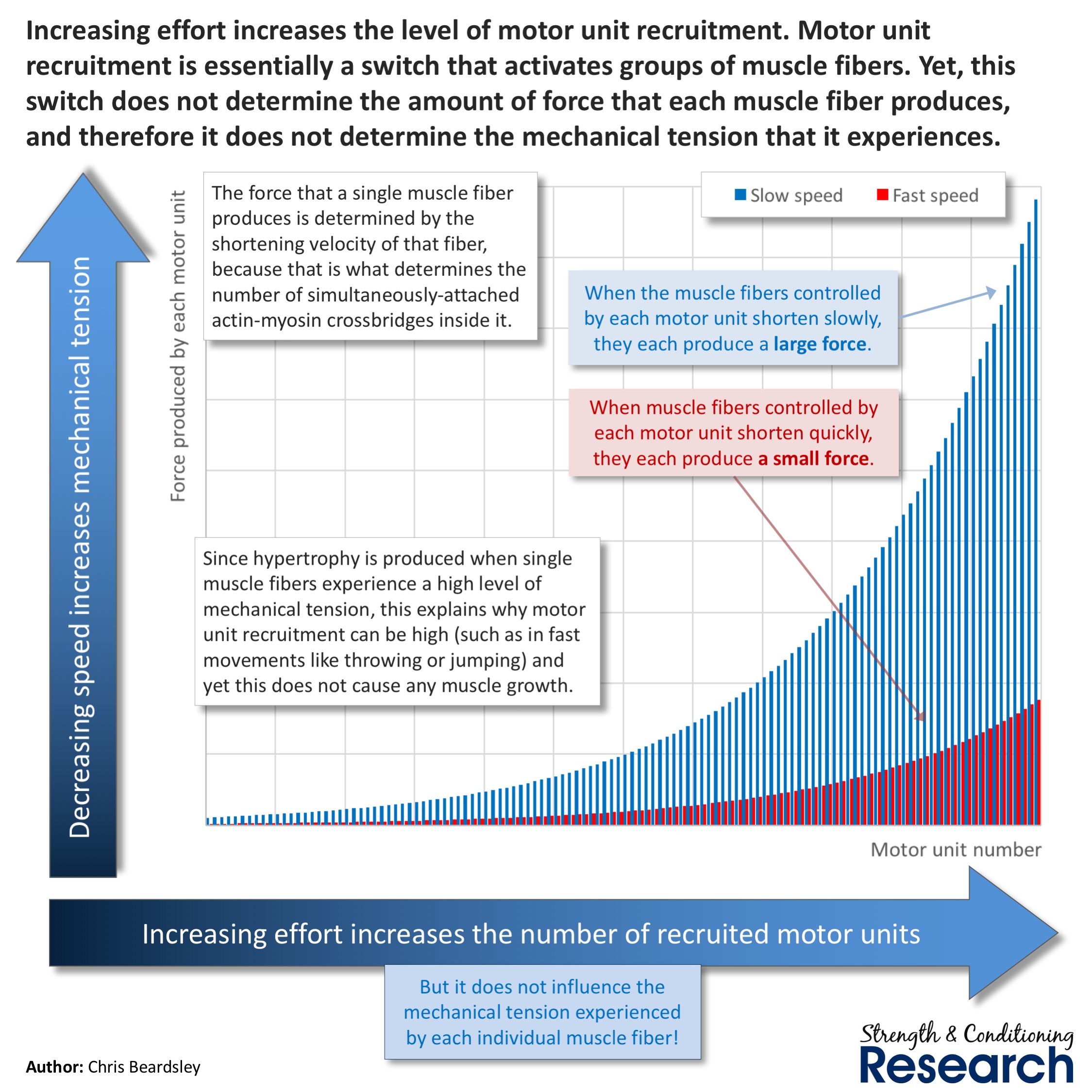 Chris Beardsley on X: &ldquo;Motor unit recruitment determines which 