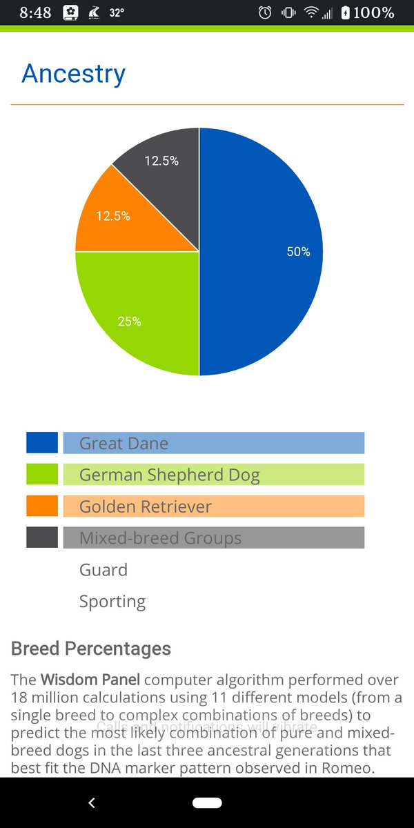 uncl0uded's tweet photo. @ToxicGiggleBox How neat! I did one of those tests for Romeo, it's so interesting how genetics work 😁 https://t.co/2wLiMZj6Wq