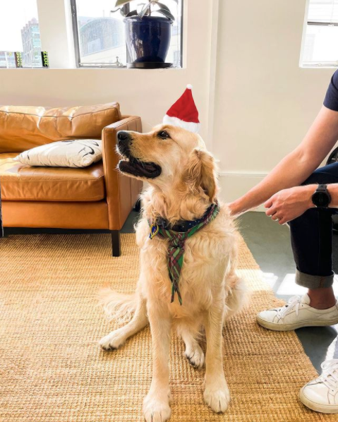 Method Recycling tweet media